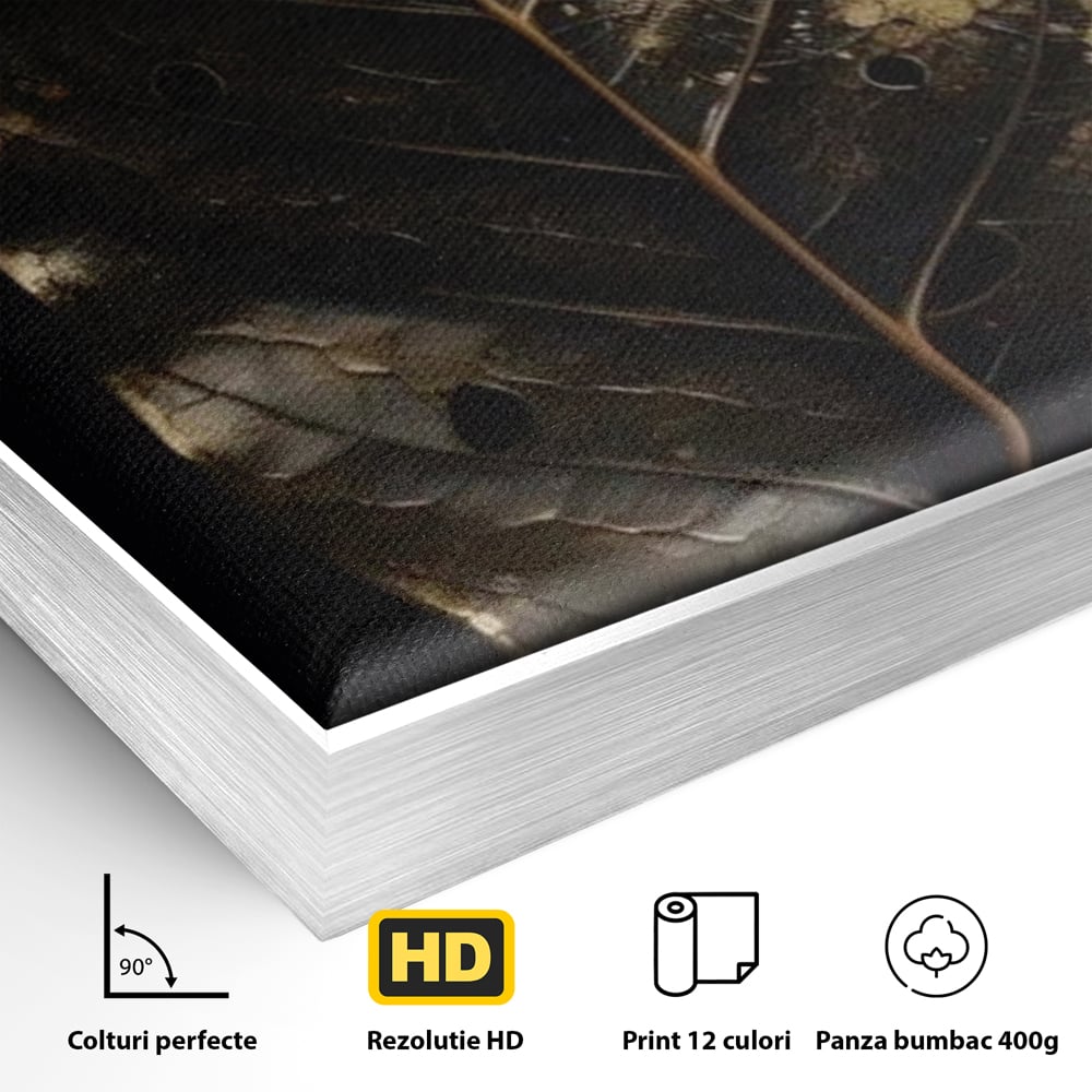 Detaliu al suprafetei: tablou canvas cu frunza uscata, in rama de aluminiu argintiu